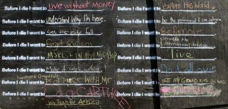 Before I die I want to ____
